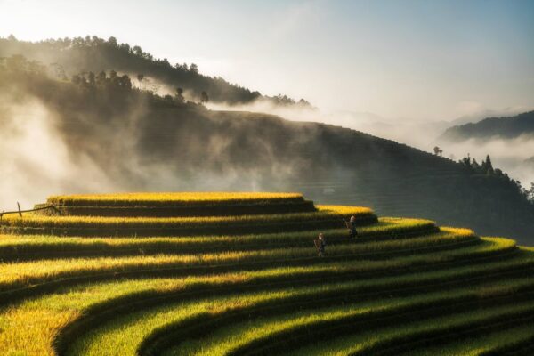 Vietnam